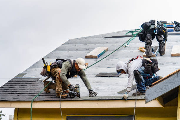 Professional Roofing technician working in Preemption, IL